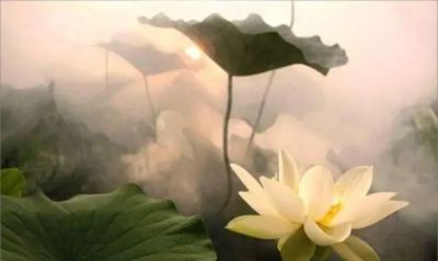哪里有针对业余爱好者的篮球训练策略_1